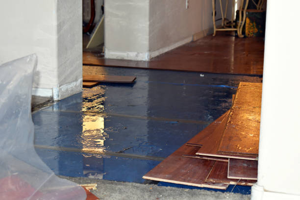 Professional Basement Flood Cleanup technician working in Harmony, PA